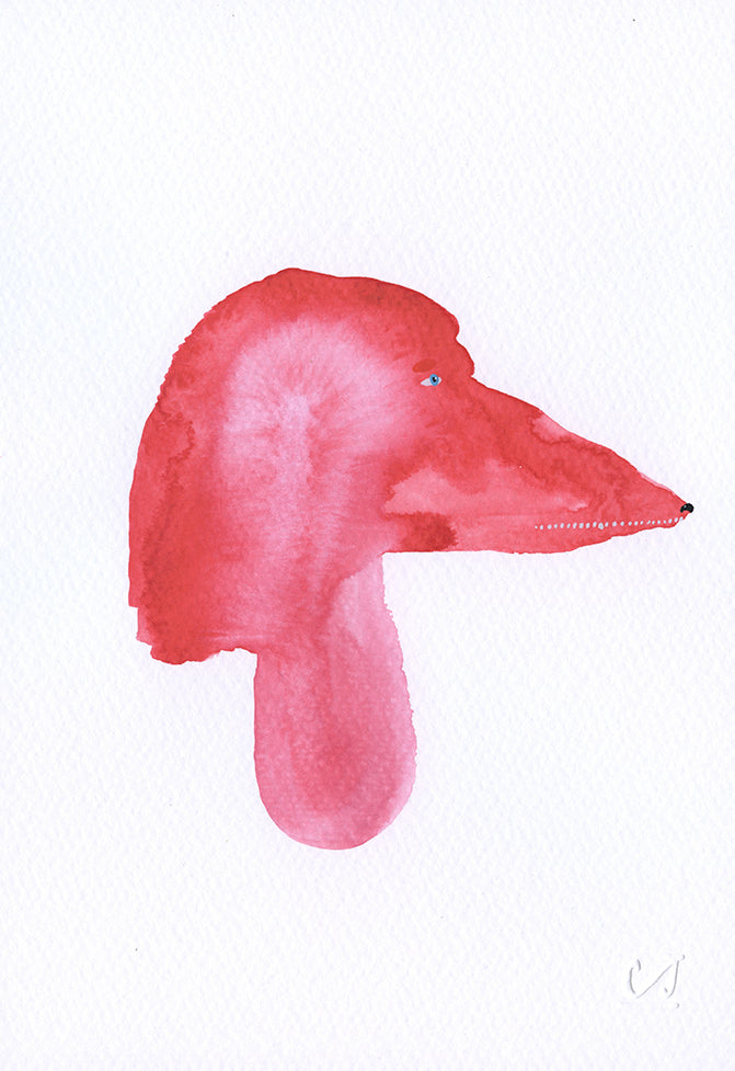 Red Dog